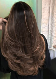 Cute Highlights For Brown Hair Straight, Dark Brown Hair With Hazelnut Highlights, Hazelnut Hair Highlights, Layers With Highlights Brunettes, Hazelnut Brown Highlights, Hazelnut Hair With Highlights, Brown Hair With Hazelnut Highlights, Hazelnut Brunette Hair, Hazelnut Brown Hair Balayage