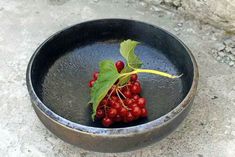 a bowl with some berries in it on the ground next to a leafy plant