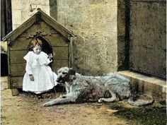 Cave Canem, Scottish People, Vintage Animals, Giant Breeds, Dog People, Dogs And Kids