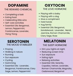 Serotonin Foods, Nervus Vagus, Increase Serotonin, Psychology Notes, Vetiver Essential Oil, Brain Facts, Mental Health Facts, Mental Health Therapy, Happy Hormones