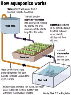 a diagram showing how aquaponics work