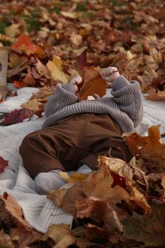 a baby laying on top of a blanket covered in autumn leaves next to a book