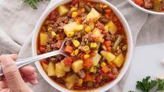 two bowls of stew with meat, potatoes and carrots