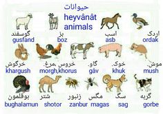 an image of animals in different languages on a white background with words written in english and arabic