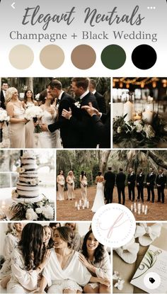 a collage of wedding photos with the words elegant neutrals champagne + black wedding