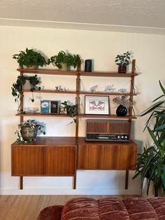 a living room filled with furniture and plants on top of wooden shelving unit units