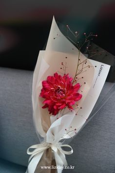 a red flower wrapped in white paper on top of a gray couch next to a plant