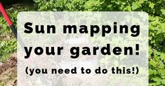 a garden with the words, sun maping your garden you need to do this