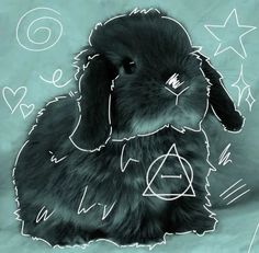 a black bunny sitting on top of a bed next to a star and triangle symbol