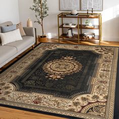 a living room filled with furniture and a rug