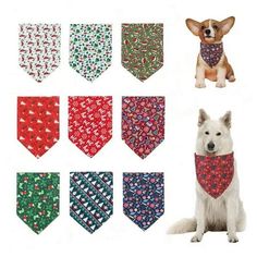 a dog wearing a bandana and sitting next to it's necktie set