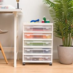 a white desk with drawers and a potted plant next to it on top of a hard wood floor