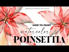 the words how to paint watercolor poinsettia on a white background