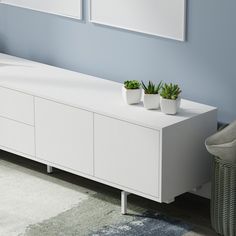 a living room with blue walls and two planters on the side of the table