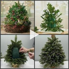 ▷▷ Christmas Craft Ideas For Kate Beavis...ntage blogger...iter and speaker on homes...shion...ddings and lifestyle. gold ch..!! Gubahan Bunga, Christmas Craft Ideas, Christmas Flower Arrangements, Pencil Christmas Tree, Christmas Floral Arrangements, Traditional Christmas Tree