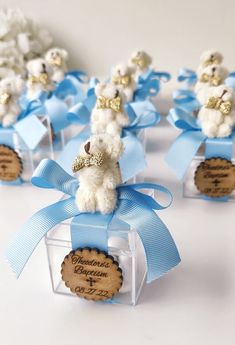 small white teddy bears with blue bows and tags in clear acrylic boxes for favors