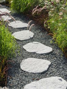 a garden with stepping stones in the middle