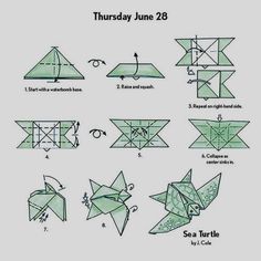 the instructions for how to make an origami bird that is on display at sea turtle