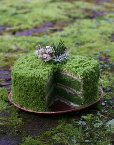 a moss covered cake sitting on top of a red plate with a slice taken out of it