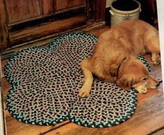 a brown dog laying on top of a rug