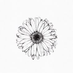 a black and white drawing of a flower