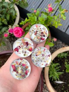 four small flowers are placed in the palm of someone's hand next to some potted plants