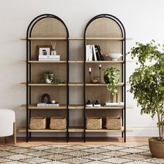 a living room with two bookshelves and a potted plant