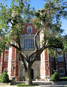 a large building with a tall tree in front of it on a sunny day,