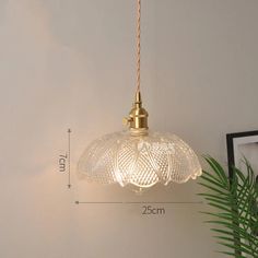 an image of a light fixture hanging from the ceiling next to a potted plant