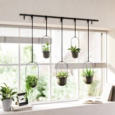 some plants are hanging on the window sill