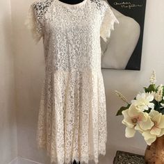 Gorgeous Free People Cream Colored Lace Dress Xs, With Drop Waist, Like Brand New! Casual Spring Lace Dress With Short Sleeves, White Casual Lace Dress With Short Sleeves, Casual Short Sleeve Lace Dress For Spring, Casual White Lace Dress With Short Sleeves, Casual Short Sleeve Lace Dress, Casual Lace Midi Dress With Short Sleeves, Casual A-line Lace Mini Dress, Light Blue Dresses, Cream Style