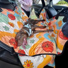 a dog laying on top of a blanket in the back seat of a car with it's mouth open