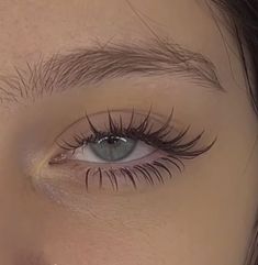 Simple False Lashes, Lashes For Round Eyes, Manhwa Lashes, Natural Fake Eyelashes, Cute Lashes, Flot Makeup, Perfect Eyelashes, Pretty Lashes, Long Eyelashes