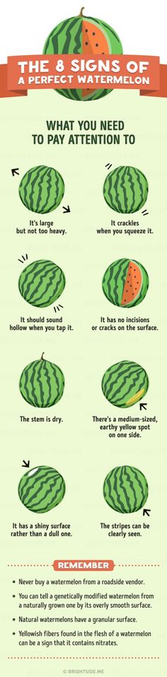 watermelon info sheet with instructions on how to use it