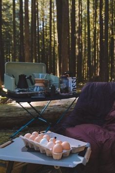 an egg tray is set up on a table in the middle of a wooded area