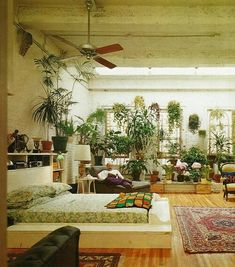 a living room filled with furniture and lots of plants