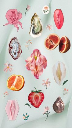 various fruits and flowers on a white surface with pink petals, oranges, and other things