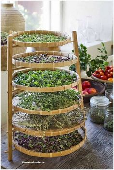 several baskets filled with herbs on top of a wooden table next to other foods and vegetables