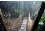 a rope bridge in the middle of a forest with a quote on it that reads, it doesn't matter when you are