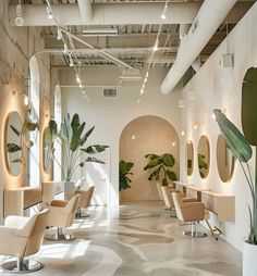 the interior of a hair salon with lots of chairs and potted plants on the walls