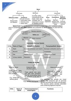 an image of a document with the wordpress logo on it and other words below