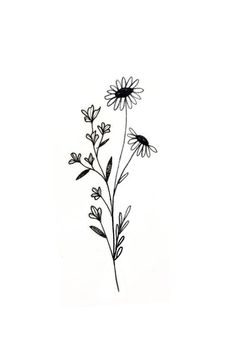 a black and white drawing of some flowers