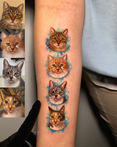 there are many different pictures of cats on this arm and the cat's face is shown