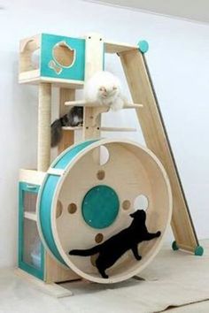 two cats are playing in a cat tree