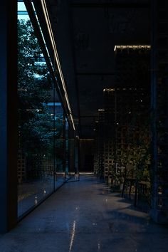 an empty hallway with chairs and trees in the background at night, illuminated by lights