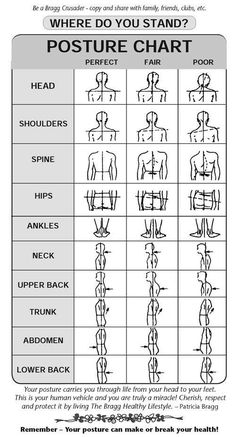 Back Fitness, Human Muscle Anatomy, Massage Therapy Business, Basic Anatomy And Physiology, Sports Therapy, Spine Health, Human Anatomy And Physiology