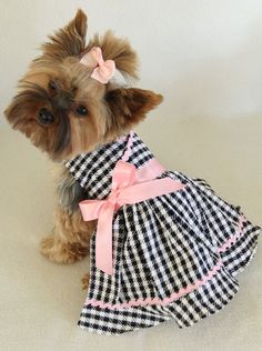 a small dog wearing a dress with a pink bow