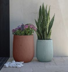 two potted plants sitting next to each other on a tile floor near a wall