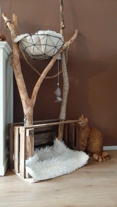 a cat sitting on the floor next to a tree with a bird feeder hanging from it's branch