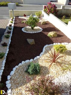 a very nice looking garden with some rocks and plants in the front yard, but no grass